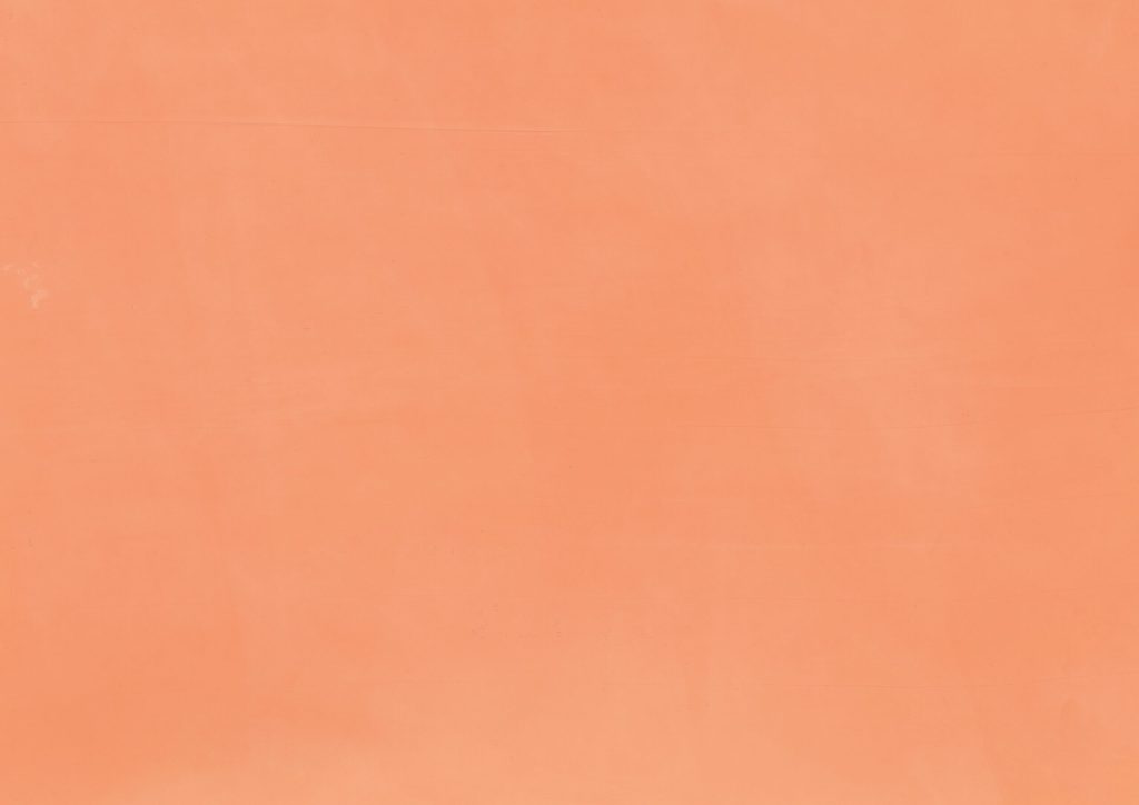 COLOR 5kg Estuco Veneciano 50ml Esencia 01 scaled